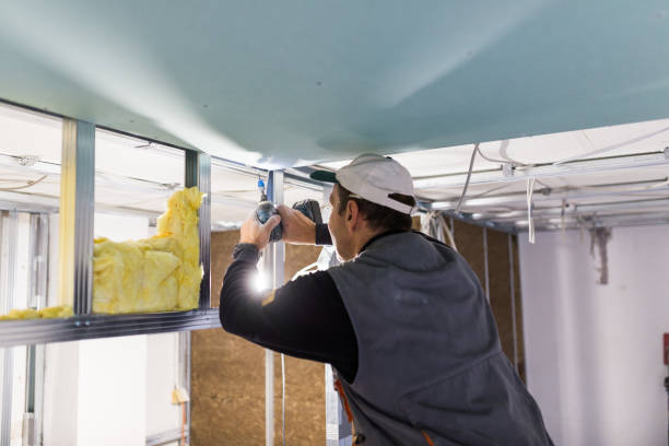 Best Insulation Replacement Services  in Spindale, NC